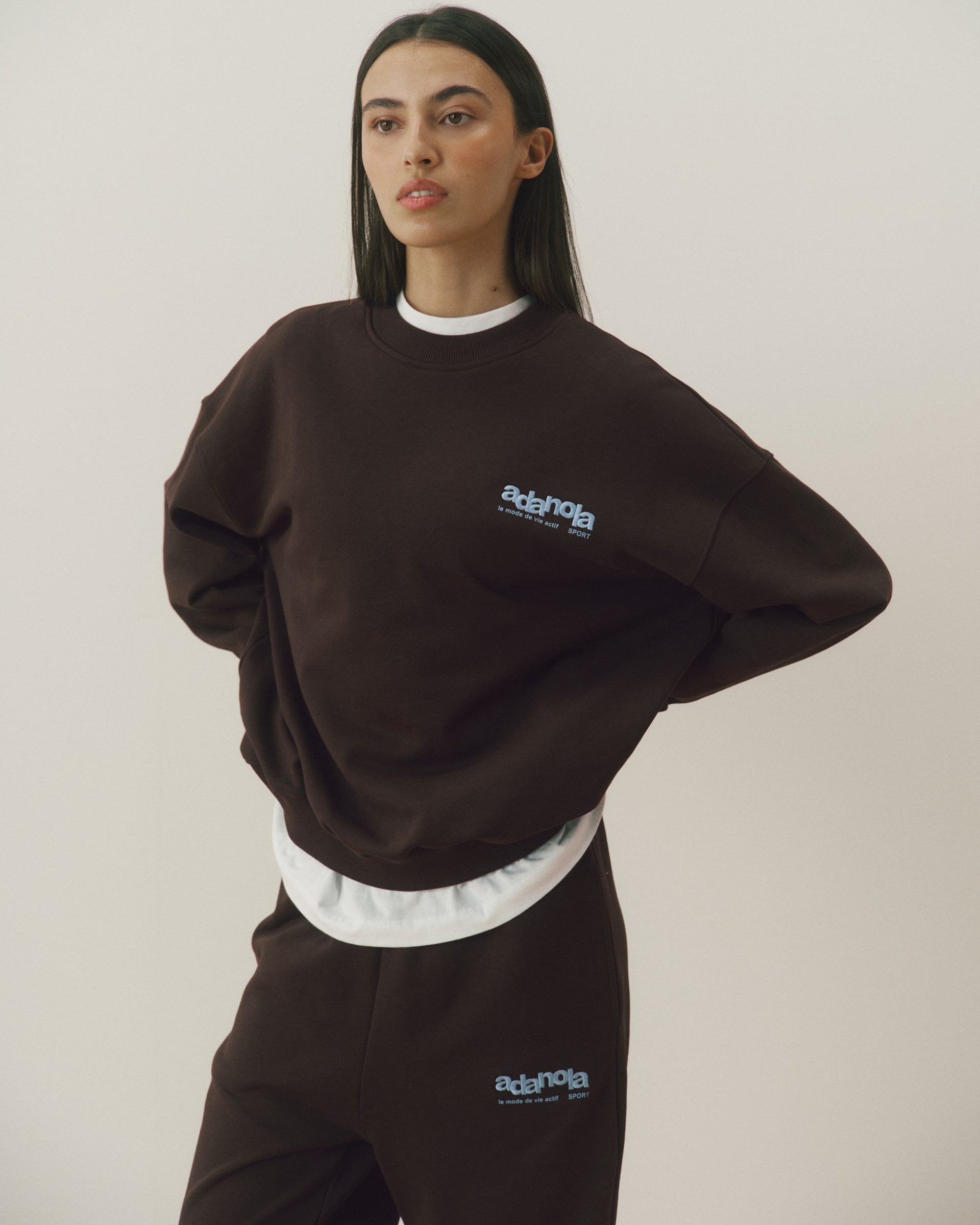 Le Mode De Vie Oversized Sweatshirt - Coffee Bean/Airy Blue