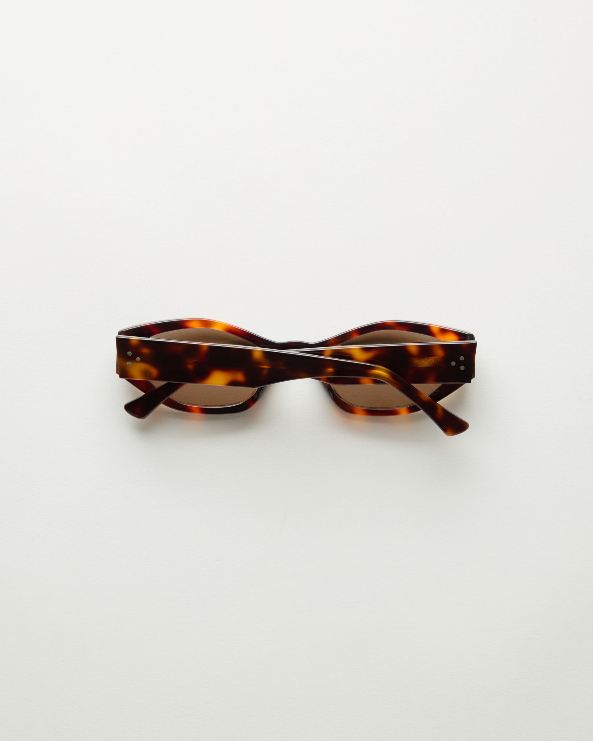 Women's Lexxola Sunglasses - Tort Brown | Adanola – Adanola